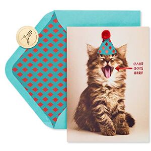 Papyrus Funny Cat Birthday Card (Indulge) Papyrus Funny Cat Birthday Card (Indulge)