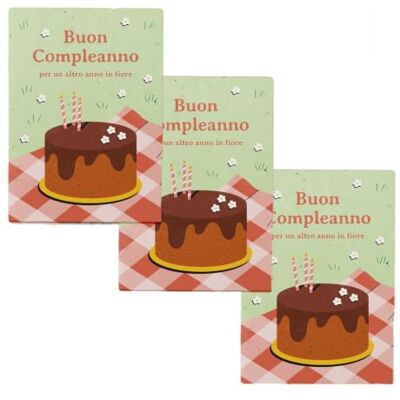 Resetea Plantable Happy Birthday Postcards Pack of 3 Cards with Chamomile Seeds Cotton Paper with Seeds Envelope in Vegetable Paper Original Gift Resetea Plantable Happy Birthday Postcards Pack of 3 Cards with Chamomile Seeds Cotton Paper with Seeds Envelope in Vegetable Paper Original Gift