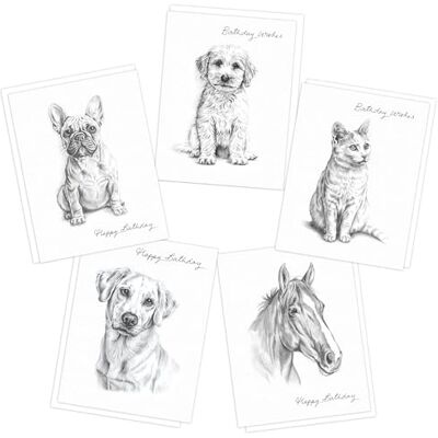 Piccadilly Greetings Animal Sketch Birthday Cards Multipack Pack of 5 assorted Birthday Cards 19 x 14.5 cm Includes White Envelopes Made in UK Piccadilly Greetings Animal Sketch Birthday Cards Multipack Pack of 5 assorted Birthday Cards 19 x 14.5 cm Includes White Envelopes Made in UK