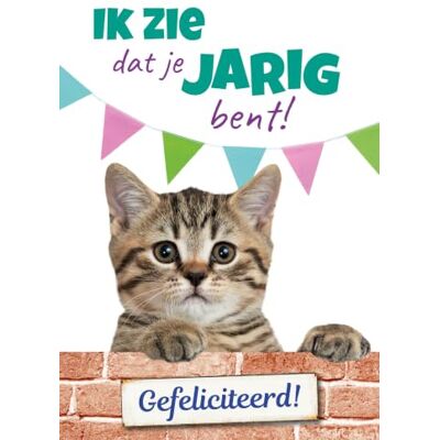 Plenty Gifts Birthday Card A5 – Greeting Card – Birthday Grey Cat – Includes Envelope – Flamingo Plenty Gifts Birthday Card A5 – Greeting Card – Birthday Grey Cat – Includes Envelope – Flamingo