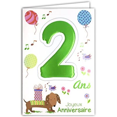 AFIE MV 69-2002 Age 2 Years Child Boy Girl Balloons Gift Birds Design Happy Birthday Card AFIE MV 69-2002 Age 2 Years Child Boy Girl Balloons Gift Birds Design Happy Birthday Card