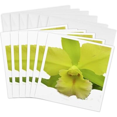 3dRose Lemony Orchid Greeting Cards, 6 by 6-inches, Set of 6 (gc_10965_1) 3dRose Lemony Orchid Greeting Cards, 6 by 6-inches, Set of 6 (gc_10965_1)