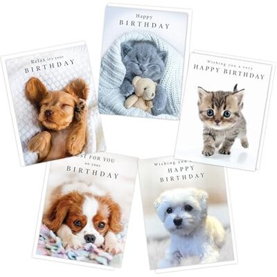 Piccadilly Greetings Cute Puppy and Kitten Birthday Cards Multipack Pack of 5 assorted Birthday Cards 19 x 14.5 cm Includes White Envelopes Made in UK Piccadilly Greetings Cute Puppy and Kitten Birthday Cards Multipack Pack of 5 assorted Birthday Cards 19 x 14.5 cm Includes White Envelopes Made in UK