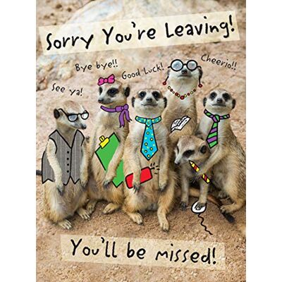Piccadilly Greetings Modern Large Card Leaving 12 x 9 inches Piccadilly Greetings Modern Large Card Leaving 12 x 9 inches