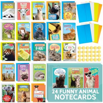 T MARIE 24 Funny Greeting Cards Set with Envelopes,24 Unique Designs with No Repeats,Cute 4.5”x6.25” Blank Boxed Animal Note Cards Pack to Say Thinking of You, Hello, Kids, Teacher and More T MARIE 24 Funny Greeting Cards Set with Envelopes,24 Unique Designs with No Repeats,Cute 4.5”x6.25” Blank Boxed Animal Note Cards Pack to Say Thinking of You, Hello, Kids, Teacher and More