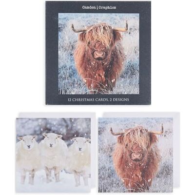 UK Greetings Multipack of 12 Christmas Cards for Him/Her/Friend 2 Animal Designs UK Greetings Multipack of 12 Christmas Cards for Him/Her/Friend 2 Animal Designs