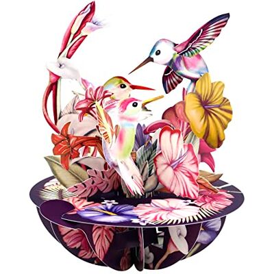 SANTORO Pirouette, 3D Pop Up Greeting Card Hummingbirds (Blush) For Her, Him, Mum, Wife, Sister, Daughter, Birthday, Bird Lovers Thank You Cards For Teacher Get Well Soon Card SANTORO Pirouette, 3D Pop Up Greeting Card Hummingbirds (Blush) For Her, Him, Mum, Wife, Sister, Daughter, Birthday, Bird Lovers Thank You Cards For Teacher Get Well Soon Card