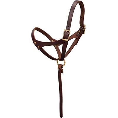 Weaver Equine Weaver Leather Figure 8 Foal Halter, 5/8" Suckling, Oiled Canyon Rose Weaver Equine Weaver Leather Figure 8 Foal Halter, 5/8" Suckling, Oiled Canyon Rose