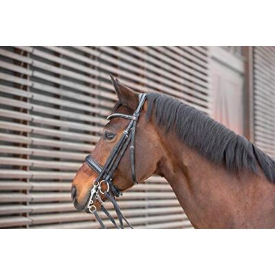 Kieffer Double bridle Ultrasoft Kieffer Double bridle Ultrasoft