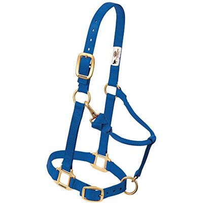 Weaver Equine Weaver Leather Nylon Miniature Horse Adjustable Halter Weaver Equine Weaver Leather Nylon Miniature Horse Adjustable Halter