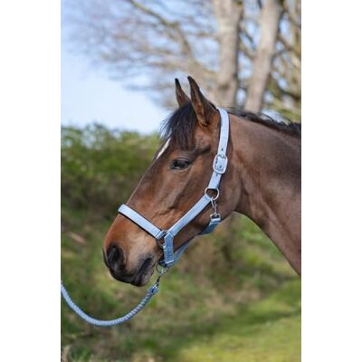 Rhinegold Sorbet Padded Headcollar&Rope-XtraFull-Bubblegum Blue Rhinegold Sorbet Padded Headcollar&Rope-XtraFull-Bubblegum Blue