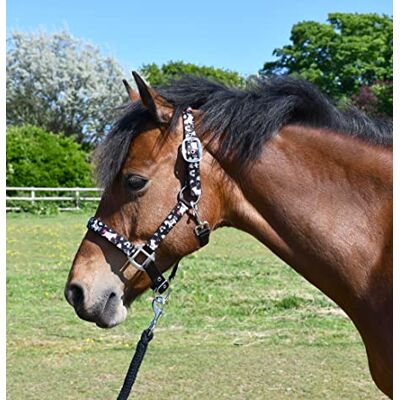 Rhinegold Unicorn Headcollar and Rope Set Shetland Black Rhinegold Unicorn Headcollar and Rope Set Shetland Black