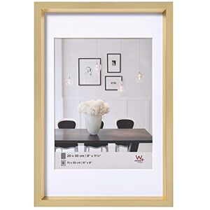 walther design Picture Frame Gold 50 x 60 cm with PassepArtout, Steel Style Plastic Frame ES060G walther design Picture Frame Gold 50 x 60 cm with PassepArtout, Steel Style Plastic Frame ES060G