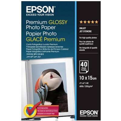 Epson C13S042153 Premium Glossy Photo Paper 100x150mm (40 Sheets) Epson C13S042153 Premium Glossy Photo Paper 100x150mm (40 Sheets)