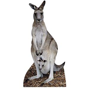STAR CUTOUTS Kangaroo Cardboard Cutout – Great Australian Theme Party Decoration & Wildlife Display STAR CUTOUTS Kangaroo Cardboard Cutout – Great Australian Theme Party Decoration & Wildlife Display