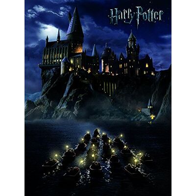 Harry Potter - 60 x 80 cm Canvas Print - Official License Harry Potter - 60 x 80 cm Canvas Print - Official License