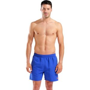 ARENA Men's Fundamentals R Boxer Beach Shorts ARENA Men's Fundamentals R Boxer Beach Shorts