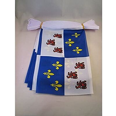 AZ FLAG Picardy Bunting Flag, 20 Ft Garland 20 Small Picardie Flags 8'' x 6'', 100% Polyester String Pennant, 6 meters AZ FLAG Picardy Bunting Flag, 20 Ft Garland 20 Small Picardie Flags 8'' x 6'', 100% Polyester String Pennant, 6 meters