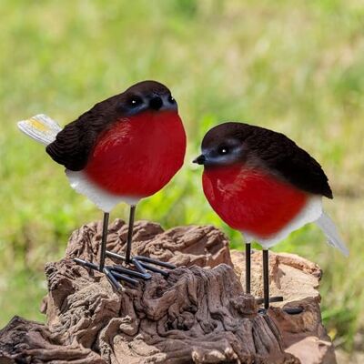 GloBrite Set of 2 Robin Garden Ornaments – Outdoor Resin Bird Statues for Yard or Patio, Realistic Animal Decor, Christmas or Gardening Gift Idea GloBrite Set of 2 Robin Garden Ornaments – Outdoor Resin Bird Statues for Yard or Patio, Realistic Animal Decor, Christmas or Gardening Gift Idea
