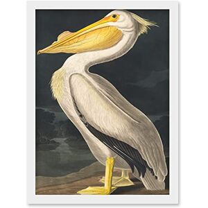 Artery8 - John James Audubon Pelican - A4 - Wall Art Print Artery8 - John James Audubon Pelican - A4 - Wall Art Print