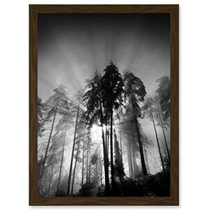 Artery8 - Trees Light Fog Black White Moonlit Forest Artery8 - Trees Light Fog Black White Moonlit Forest