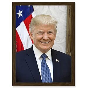 Artery8 - Donald Trump Portrait - Brown Artery8 - Donald Trump Portrait - Brown