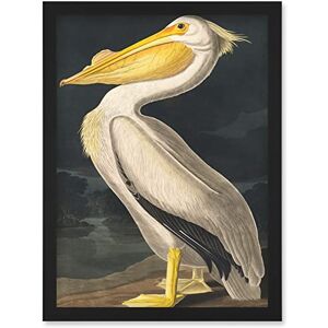 Artery8 - Pelican - Audubon Style - Art Print Artery8 - Pelican - Audubon Style - Art Print