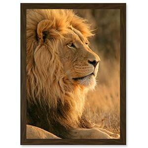 Artery8 - African Lion A4 - Brown - A4 - Wall Art Print Artery8 - African Lion A4 - Brown - A4 - Wall Art Print
