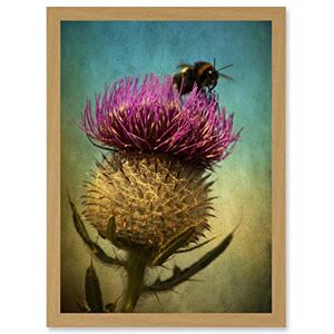 Artery8 - Bumble Bee Thistle Flower Scotland - Wall Art Print Artery8 - Bumble Bee Thistle Flower Scotland - Wall Art Print