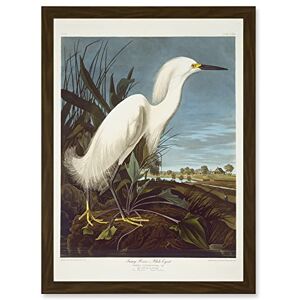 Artery8 - Audubon Snowy Heron - brown - Framed Art Print Artery8 - Audubon Snowy Heron - brown - Framed Art Print