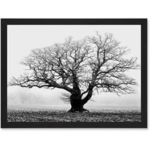 Artery8 - Old Oak Tree - Black - White - Framed Wall Art Artery8 - Old Oak Tree - Black - White - Framed Wall Art