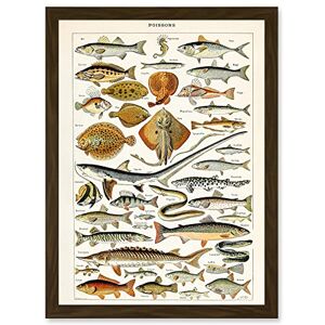 Artery8 - Millot Encyclopedia - A4 - Brown - Wall Art Artery8 - Millot Encyclopedia - A4 - Brown - Wall Art