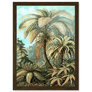 Artery8 - Ernst Haeckel - Framed - A4 - Wall Art Print Artery8 - Ernst Haeckel - Framed - A4 - Wall Art Print