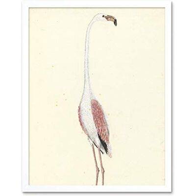 Artery8 Gordon Greater Flamingo Bird Nature Drawing Art Print Framed Poster Wall Decor 12x16 inch Artery8 Gordon Greater Flamingo Bird Nature Drawing Art Print Framed Poster Wall Decor 12x16 inch