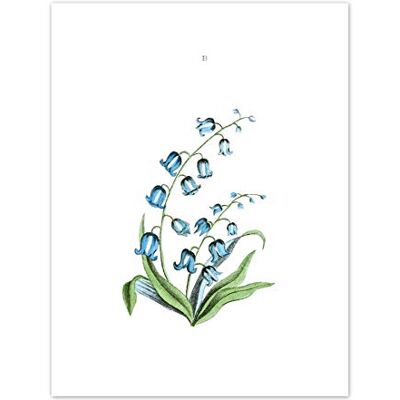 Fine Art Prints Flower Bluebells Illustration Art Print Canvas Premium Wall Decor Poster Fine Art Prints Flower Bluebells Illustration Art Print Canvas Premium Wall Decor Poster