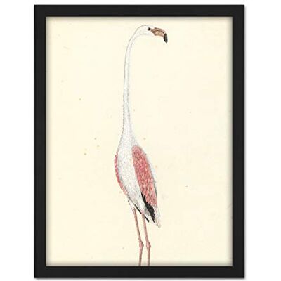 Artery8 Gordon Greater Flamingo Bird Nature Drawing Artwork Framed Wall Art Print 18X24 Inch Artery8 Gordon Greater Flamingo Bird Nature Drawing Artwork Framed Wall Art Print 18X24 Inch