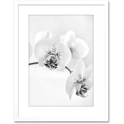 Artery8 - Orchid Flower - Black - White - Wall Art Print Artery8 - Orchid Flower - Black - White - Wall Art Print