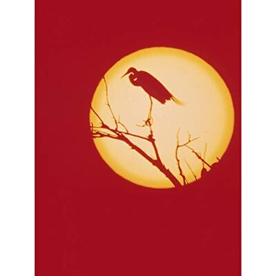 Fine Art Prints Crane Silluette Against Moon Large Wall Art Print Canvas Premium Poster Fine Art Prints Crane Silluette Against Moon Large Wall Art Print Canvas Premium Poster