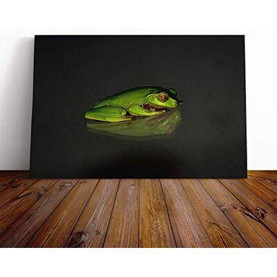 Big Box Art Frog Vol.4 Canvas Print Gallery Wrapped 30mm Frame Wall Art 24x16 inches Ready to Hang Modern Animals Picture Living Room Bedroom Lounge Office Big Box Art Frog Vol.4 Canvas Print Gallery Wrapped 30mm Frame Wall Art 24x16 inches Ready to Hang Modern Animals Picture Living Room Bedroom Lounge Office