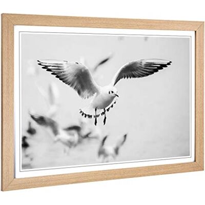 Big Box Art Framed Print of Seagulls Birds Design Wall Art Picture Home Decor for Kitchen, Living, Dining Room, Lounge, Bedroom, Hallway, Office, Oak, A2 / 24.5x18 Inch / 62x45cm Big Box Art Framed Print of Seagulls Birds Design Wall Art Picture Home Decor for Kitchen, Living, Dining Room, Lounge, Bedroom, Hallway, Office, Oak, A2 / 24.5x18 Inch / 62x45cm