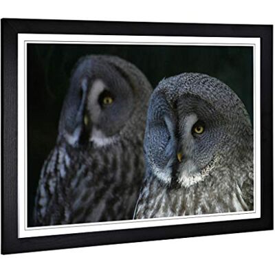 Big Box Art Framed Print of Dark Grey Owls Birds Design Wall Art Picture Home Decor for Kitchen, Living, Dining Room, Lounge, Bedroom, Hallway, Office, Black, A2 / 24.5x18 Inch / 62x45cm Big Box Art Framed Print of Dark Grey Owls Birds Design Wall Art Picture Home Decor for Kitchen, Living, Dining Room, Lounge, Bedroom, Hallway, Office, Black, A2 / 24.5x18 Inch / 62x45cm