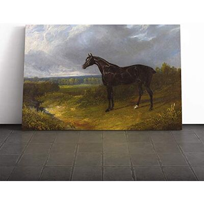 Big Box Art John Frederick Herring Black Horse Canvas Print Gallery Wrapped 30mm Frame Wall Art 30x20 inches Ready to Hang Modern Animals Picture Living Room Bedroom Lounge Office Big Box Art John Frederick Herring Black Horse Canvas Print Gallery Wrapped 30mm Frame Wall Art 30x20 inches Ready to Hang Modern Animals Picture Living Room Bedroom Lounge Office