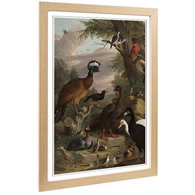 Big Box Art Framed Print of Melchior d'Hondecoeter Birds 2 Design Wall Art Picture Home Decor for Kitchen, Living, Dining Room, Bedroom, Hallway, Office, Oak, A2 / 24.5x18 Inch / 62x45cm Big Box Art Framed Print of Melchior d'Hondecoeter Birds 2 Design Wall Art Picture Home Decor for Kitchen, Living, Dining Room, Bedroom, Hallway, Office, Oak, A2 / 24.5x18 Inch / 62x45cm