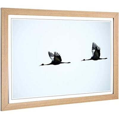 Big Box Art Framed Print of Flying Cranes Birds Design Wall Art Picture Home Decor for Kitchen, Living, Dining Room, Lounge, Bedroom, Hallway, Office, Oak, A2 / 24.5x18 Inch / 62x45cm Big Box Art Framed Print of Flying Cranes Birds Design Wall Art Picture Home Decor for Kitchen, Living, Dining Room, Lounge, Bedroom, Hallway, Office, Oak, A2 / 24.5x18 Inch / 62x45cm