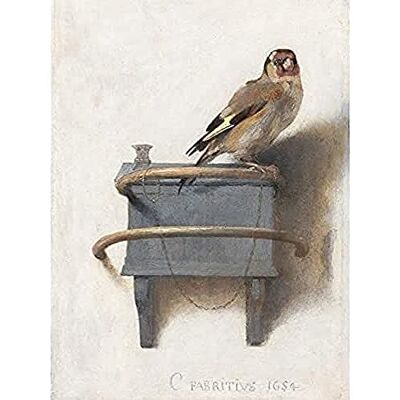 Fine Art Prints Fabritius The Goldfinch Bird Animal Nature Painting Unframed Wall Art Print Poster Home Decor Premium,16 x 12 inches Fine Art Prints Fabritius The Goldfinch Bird Animal Nature Painting Unframed Wall Art Print Poster Home Decor Premium,16 x 12 inches