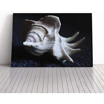 Big Box Art Shell Seashell (3) Canvas Print Gallery Wrapped 30mm Frame Wall Art 30x20 inches Ready to Hang Modern Animals Picture Living Room Bedroom Lounge Office Big Box Art Shell Seashell (3) Canvas Print Gallery Wrapped 30mm Frame Wall Art 30x20 inches Ready to Hang Modern Animals Picture Living Room Bedroom Lounge Office