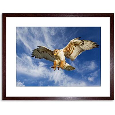Wee Blue Coo PHOTO NATURE BIRD PREY EAGLE HUNTING ATTACK FRAMED PRINT F97X3252 Wee Blue Coo PHOTO NATURE BIRD PREY EAGLE HUNTING ATTACK FRAMED PRINT F97X3252