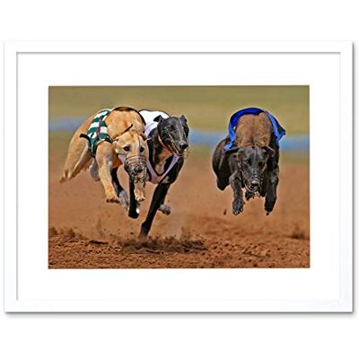 Wee Blue Coo Greyhound Sing Running Dog Track Sport Photo Framed Art Print Picture F12X375 Wee Blue Coo Greyhound Sing Running Dog Track Sport Photo Framed Art Print Picture F12X375