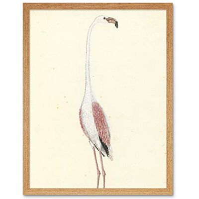 Artery8 Gordon Greater Flamingo Bird Nature Drawing Art Print Framed Poster Wall Decor 12x16 inch Artery8 Gordon Greater Flamingo Bird Nature Drawing Art Print Framed Poster Wall Decor 12x16 inch