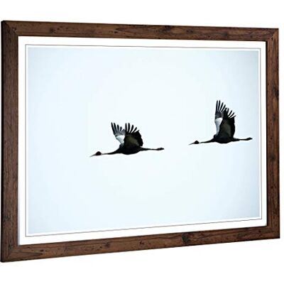 Big Box Art Framed Print of Flying Cranes Birds Design Wall Art Picture Home Decor for Kitchen, Living, Dining Room, Lounge, Bedroom, Hallway, Office, Walnut, A2 / 24.5x18 Inch / 62x45cm Big Box Art Framed Print of Flying Cranes Birds Design Wall Art Picture Home Decor for Kitchen, Living, Dining Room, Lounge, Bedroom, Hallway, Office, Walnut, A2 / 24.5x18 Inch / 62x45cm